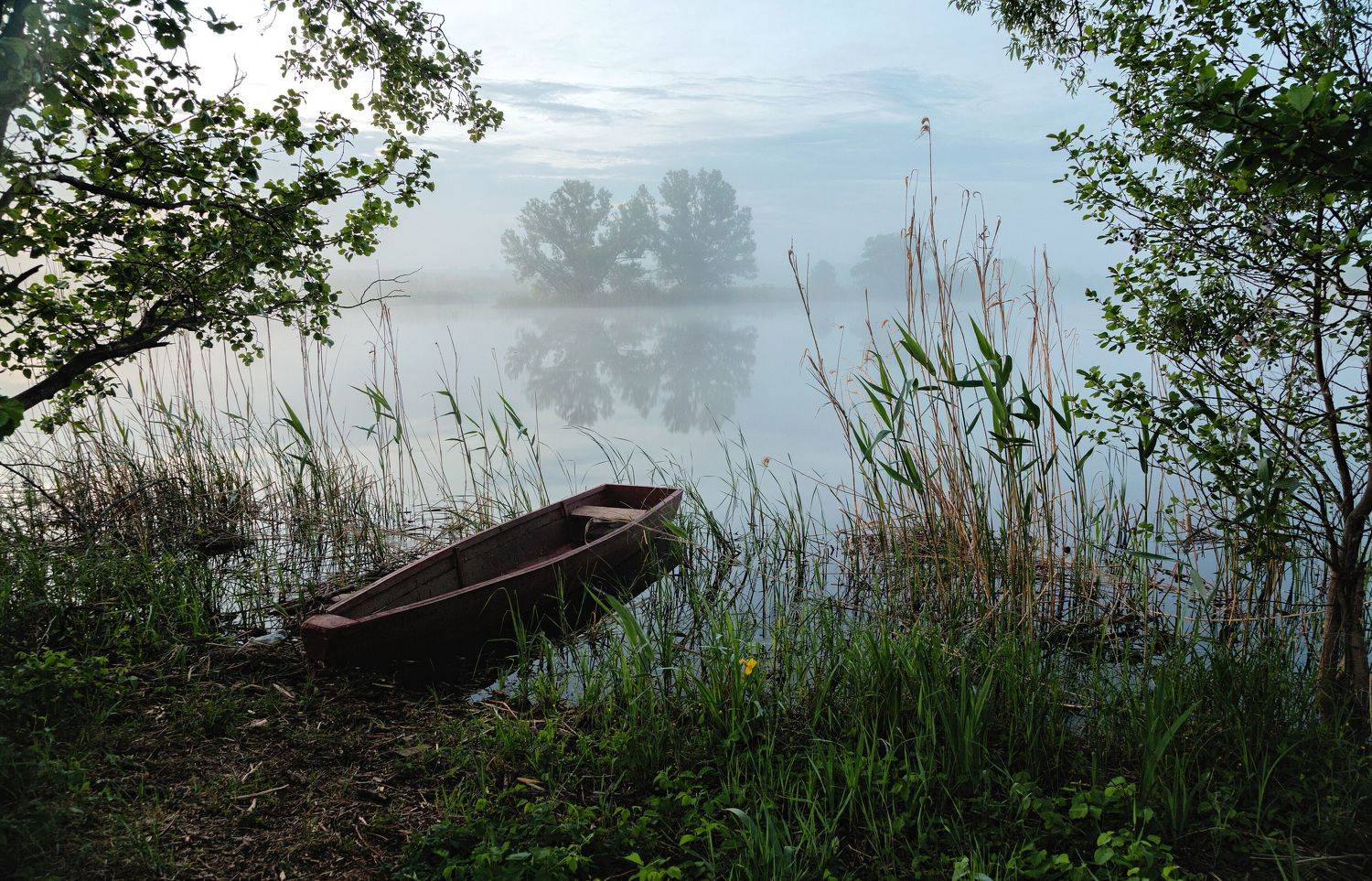 , Александр Бредихин