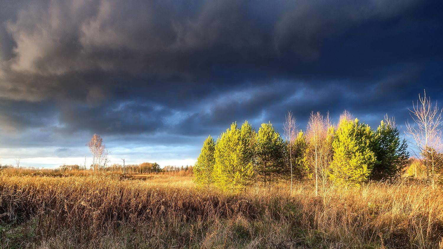 , Николай Андреев