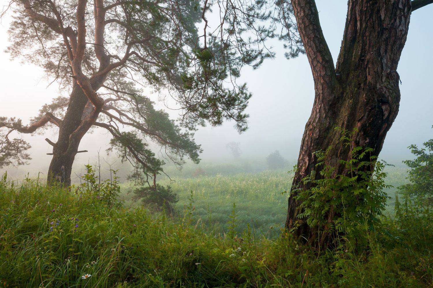 , Борис Леваков