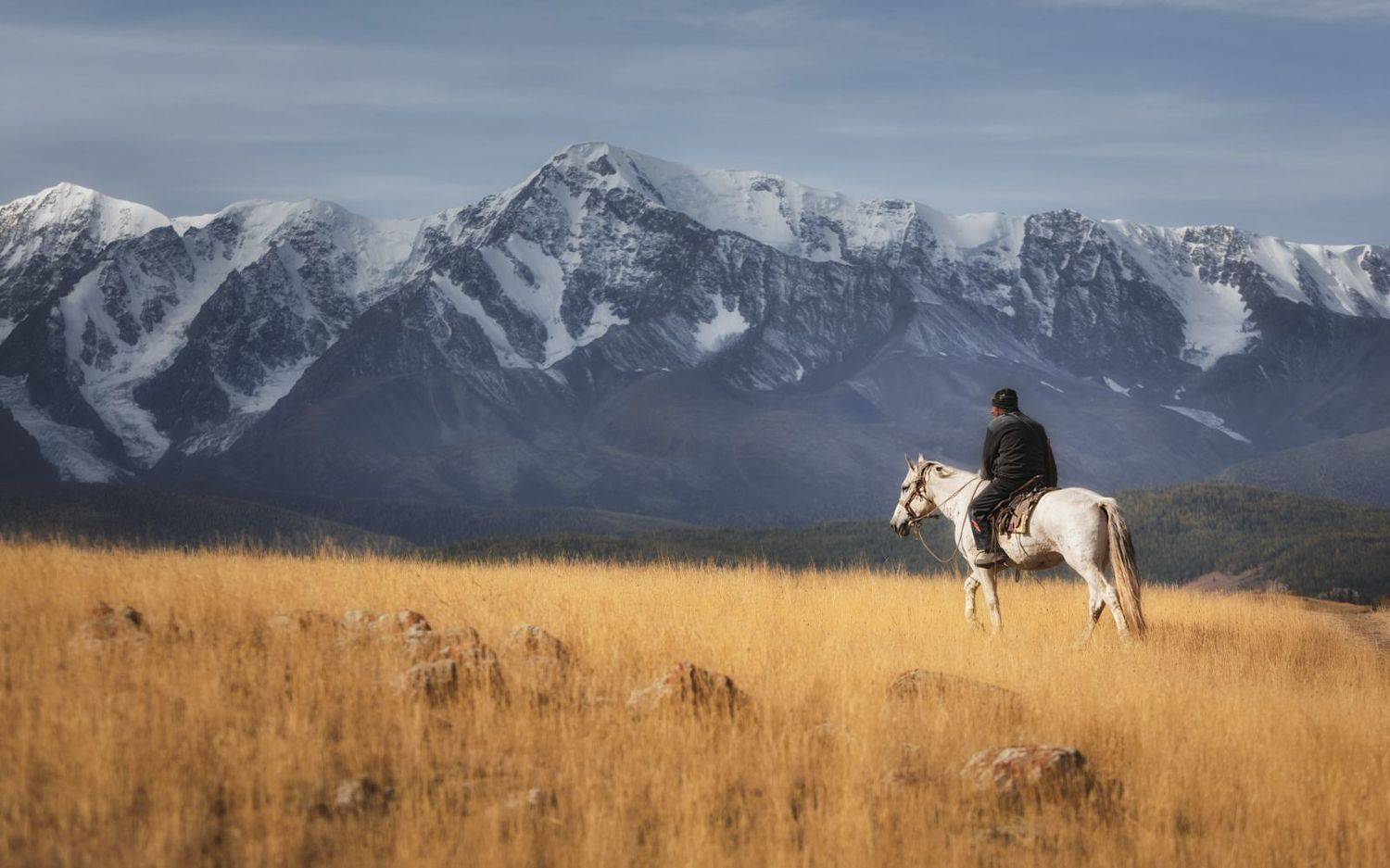 , Олег Дунаев