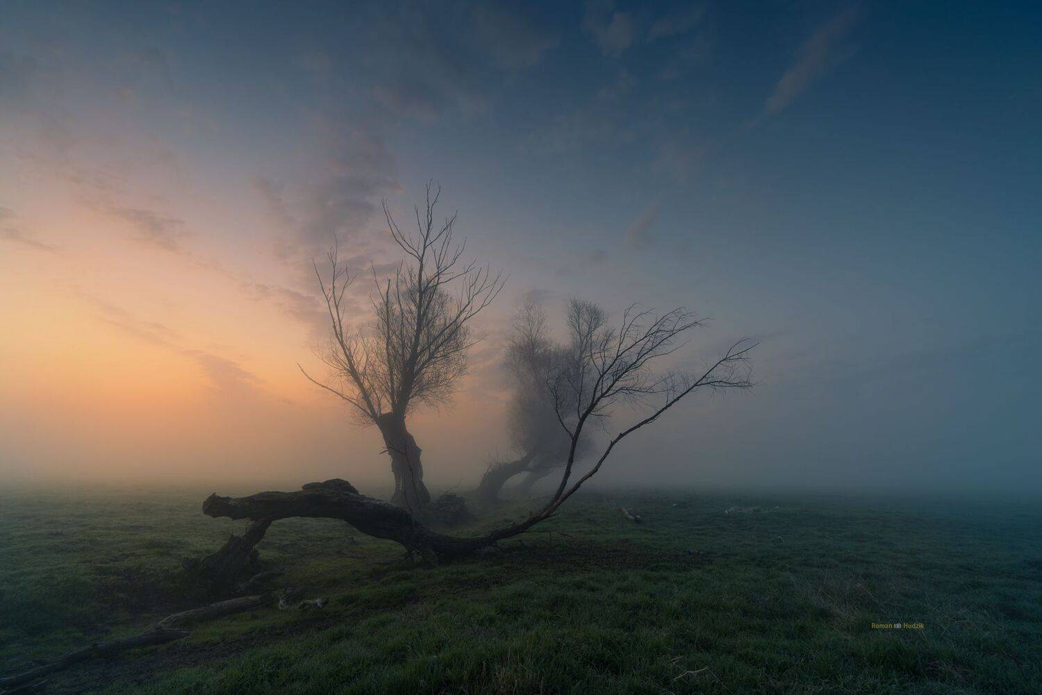 Trees, landscape, Poland, sky, clouds, sunrise, fog, Roman Hudzik