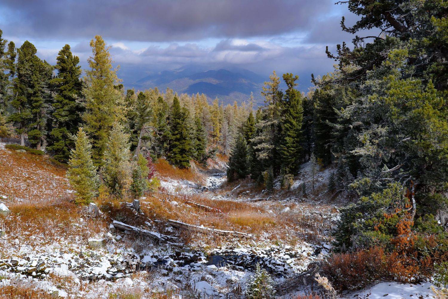 горы, Евгений Дроботенко