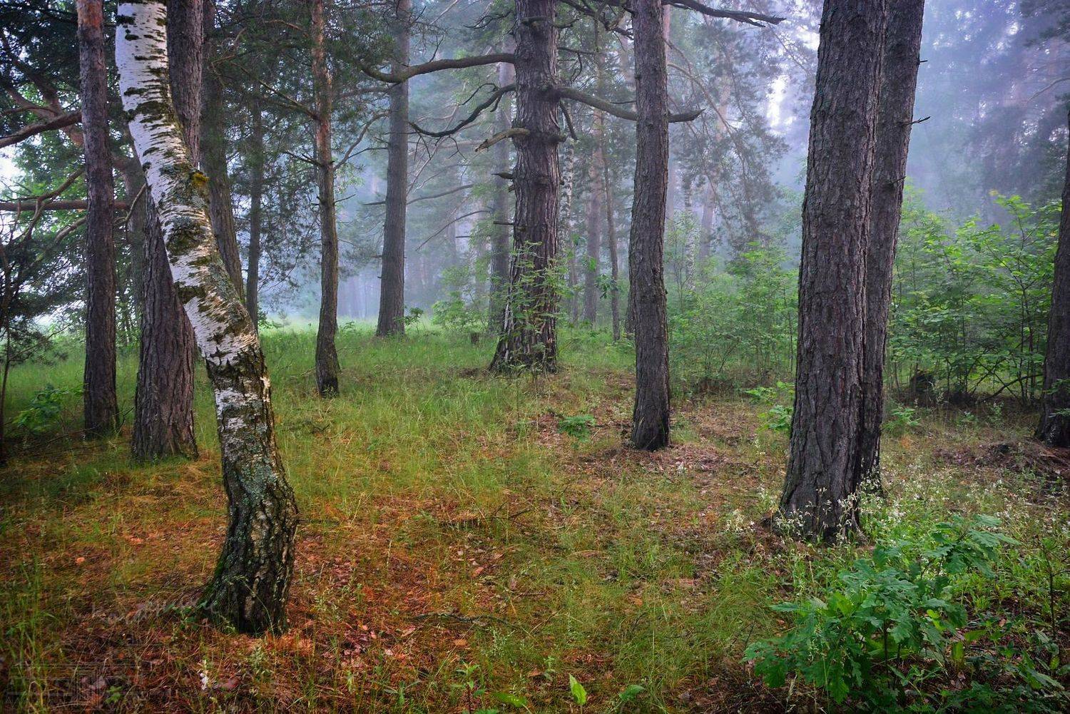 , Юлия Абрамова