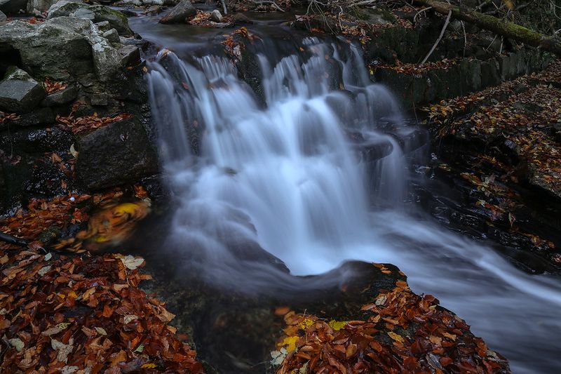 Autum фото превью