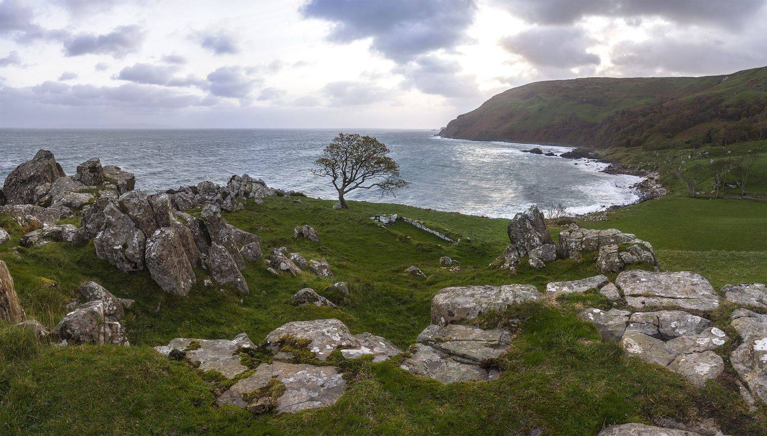 , Рашид Хайданов