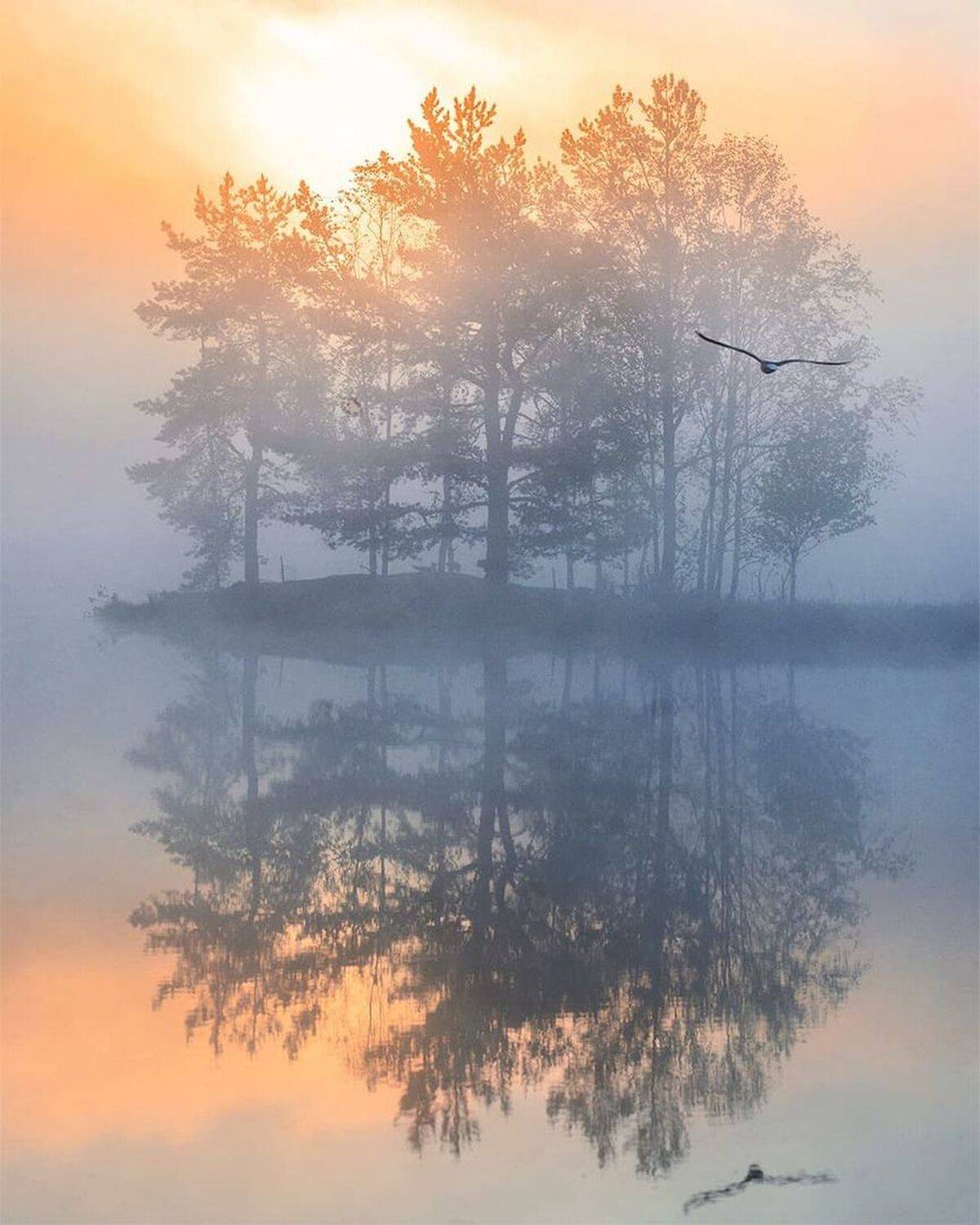 , Петр Косых
