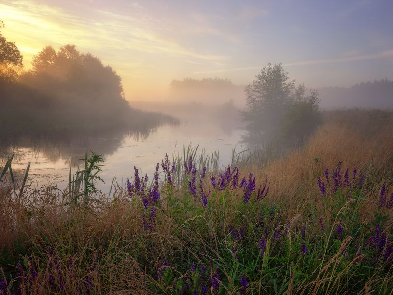 пейзаж, природа, туман, река, волчья Утро на реке фото превью