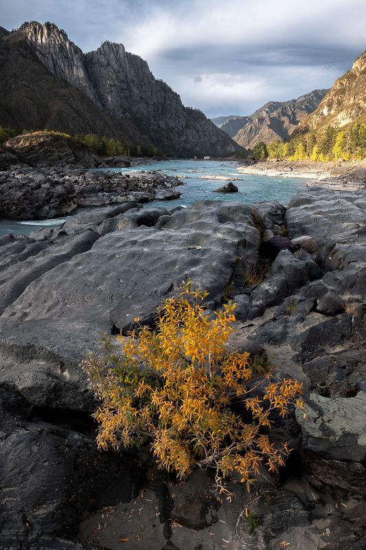 Островки жизни фото превью