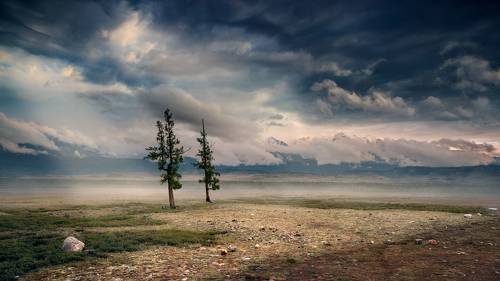 В Курайской степи прошли дожди