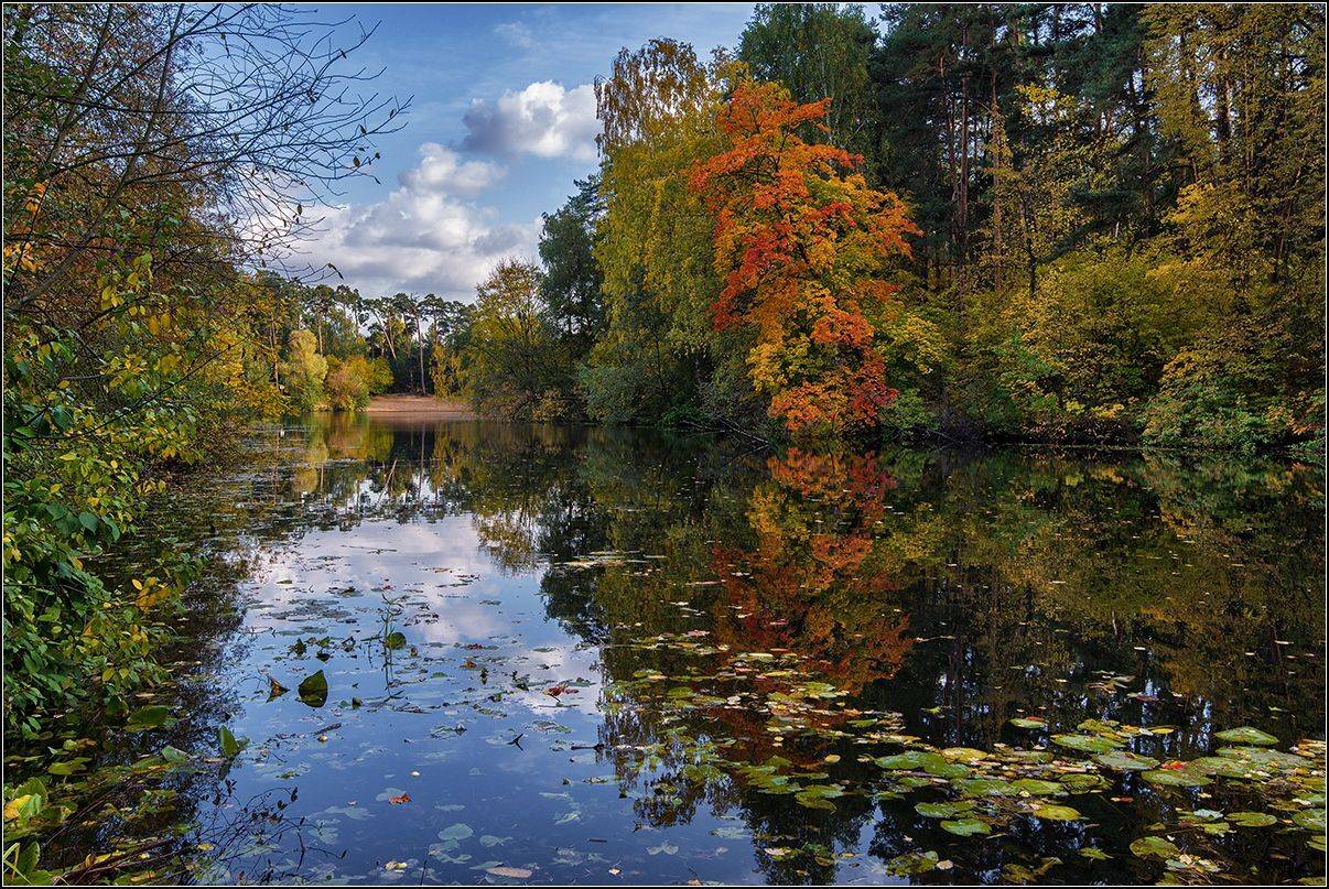 москва, осень, озеро, лес, отражение, АНАТОЛИЙ ДОВЫДЕНКО