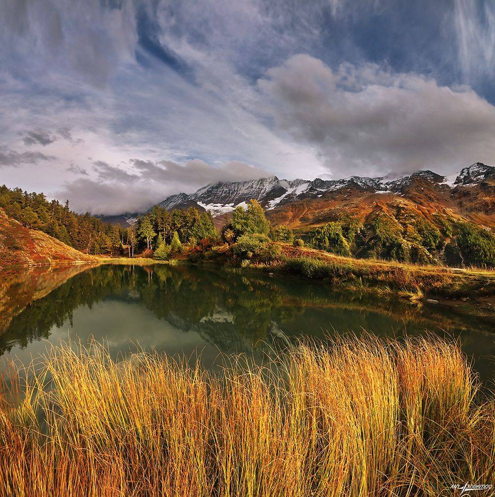 swiss, Матвеев Николай