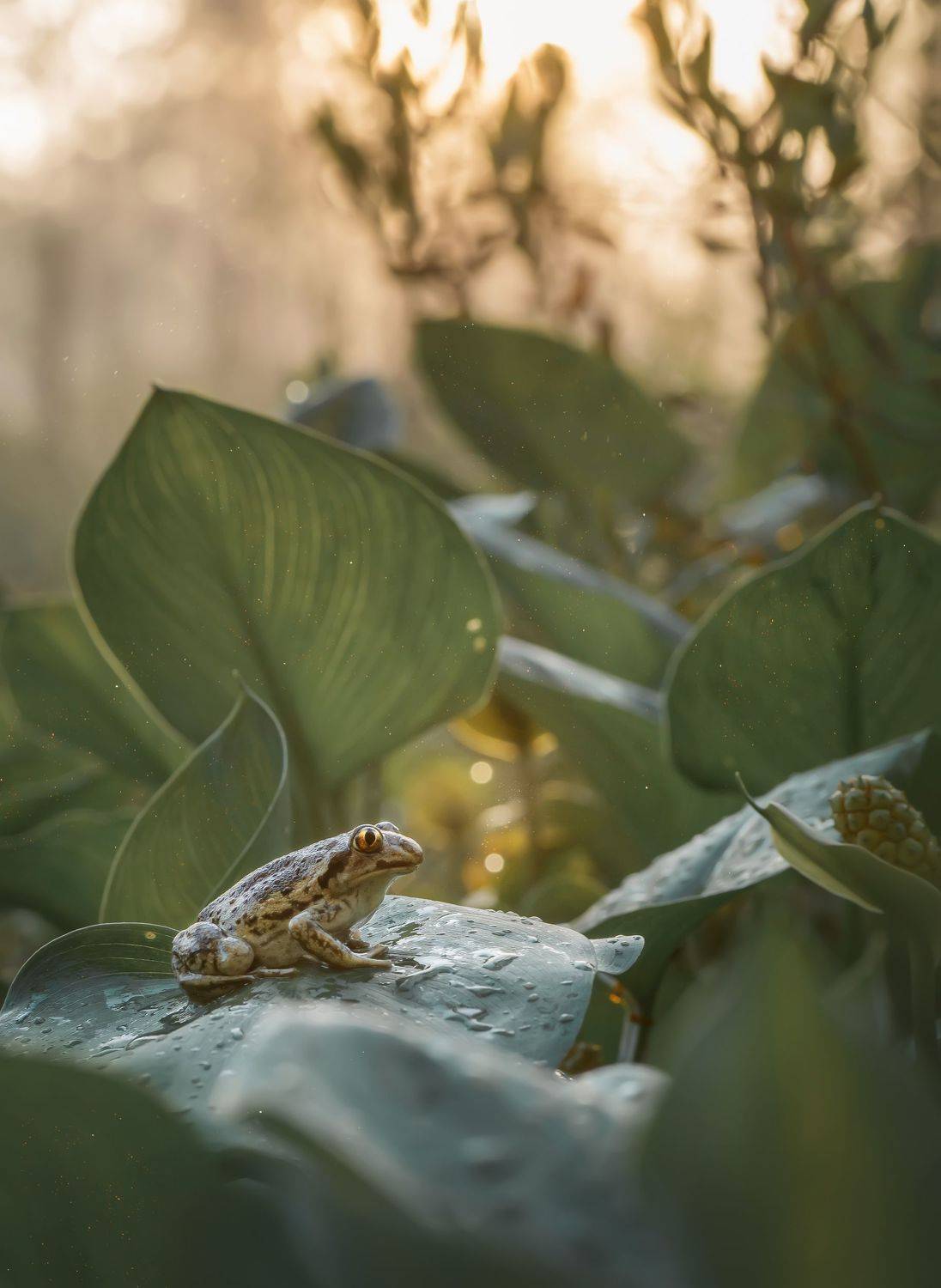 , Тарасова Ольга