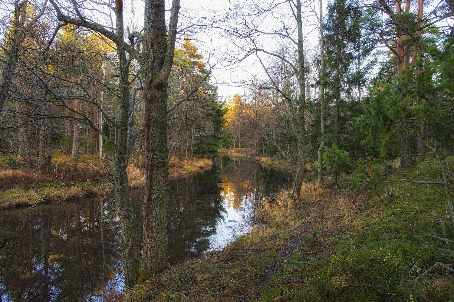 , Юрий Кулаков