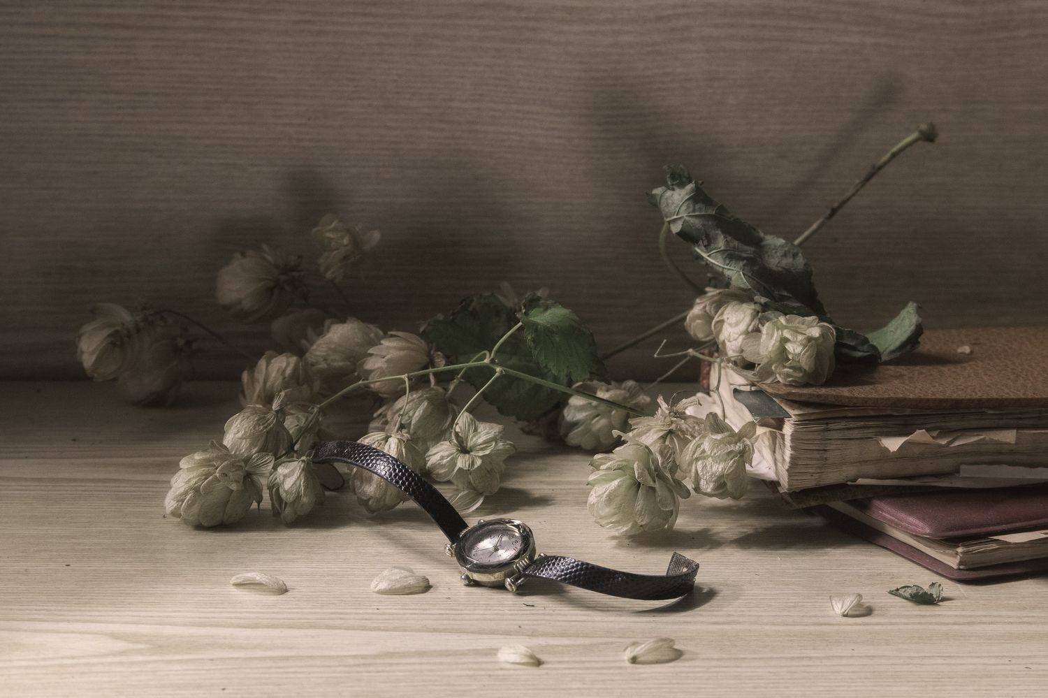 хмель, часы, осень, Инна Грицик