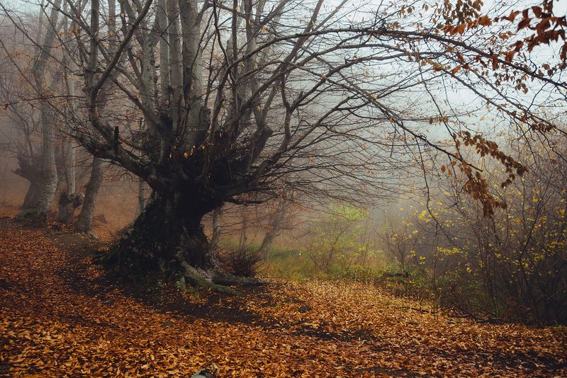 крым *** фото превью