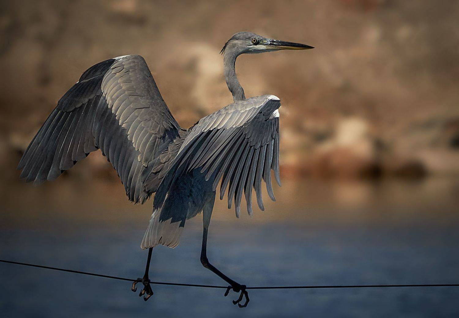 Эквилибр на проводе, Boris Bekelman