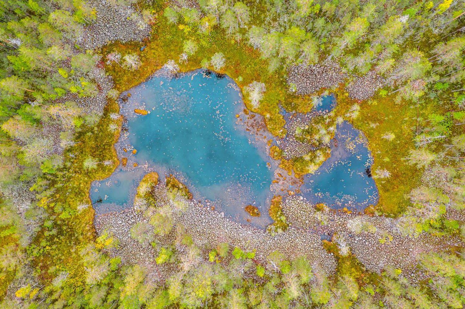 ладожские шхеры, ламба, ламбушка, тайга, карелия, национальный парк, русский север, лесное озеро, Кирилл Уютнов