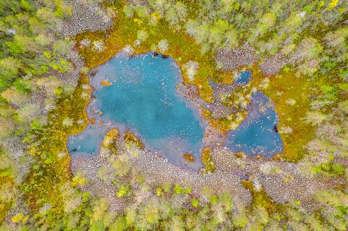 Ламбушка-зайчишка