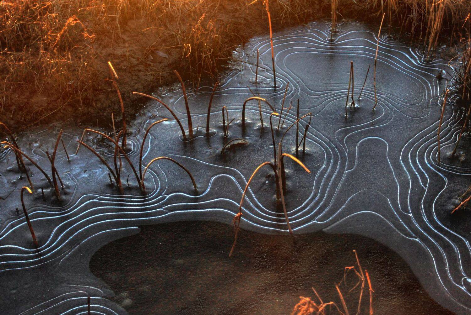 , Сергей Григорьев