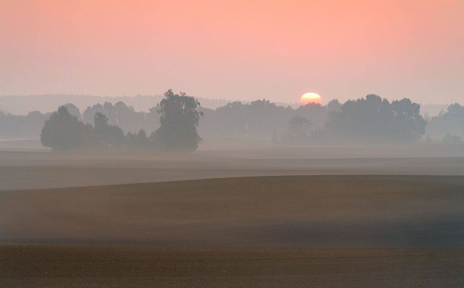 sun, tree, field, morning, fresh, sunset,, Lukasz Zugaj