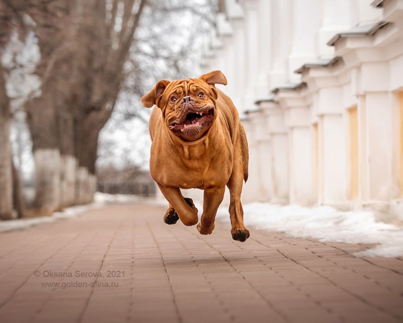 - Маааам, ты меня жвала-а-аааа?!! фото превью