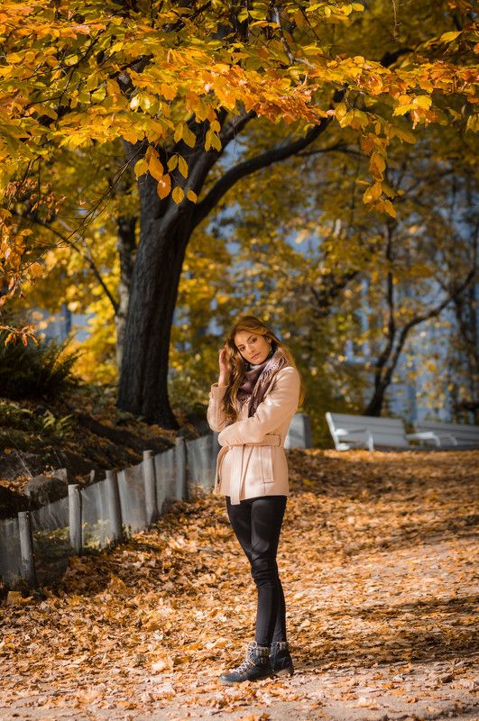 Golden autumn фото превью