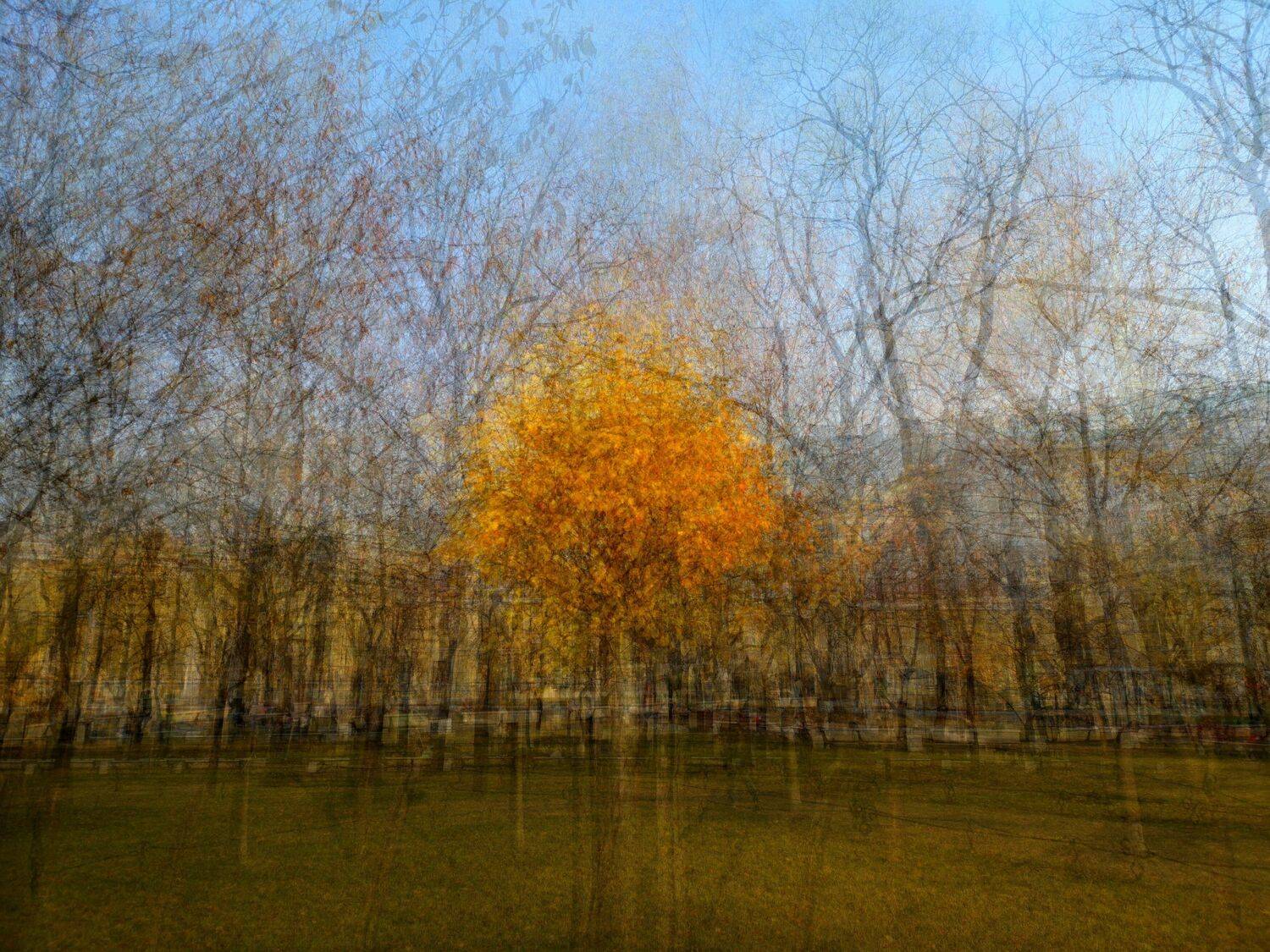 , Антон Лаба