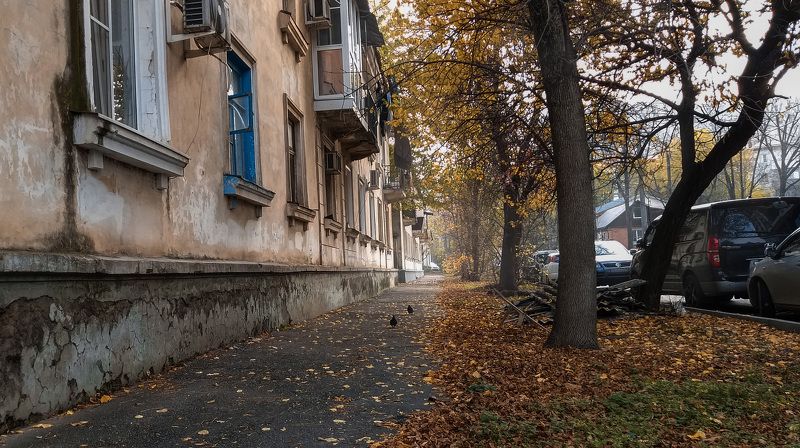 в гостях у осени фото превью
