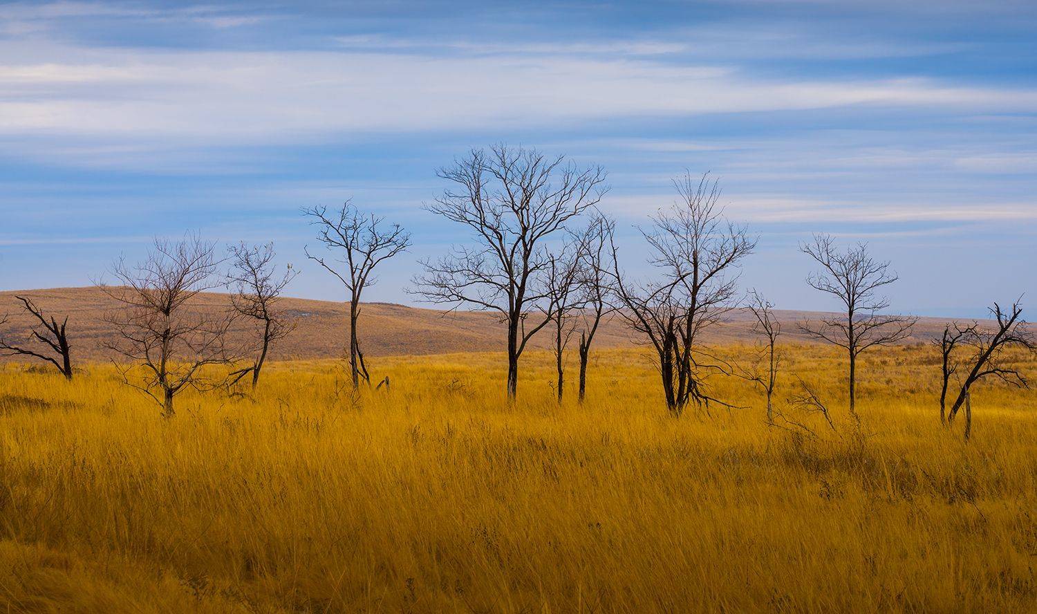 , Игорь Кляхин