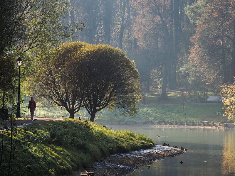 утренняя прогулка фото превью