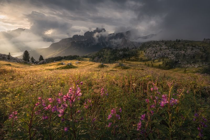 Last Days Of Summer фото превью