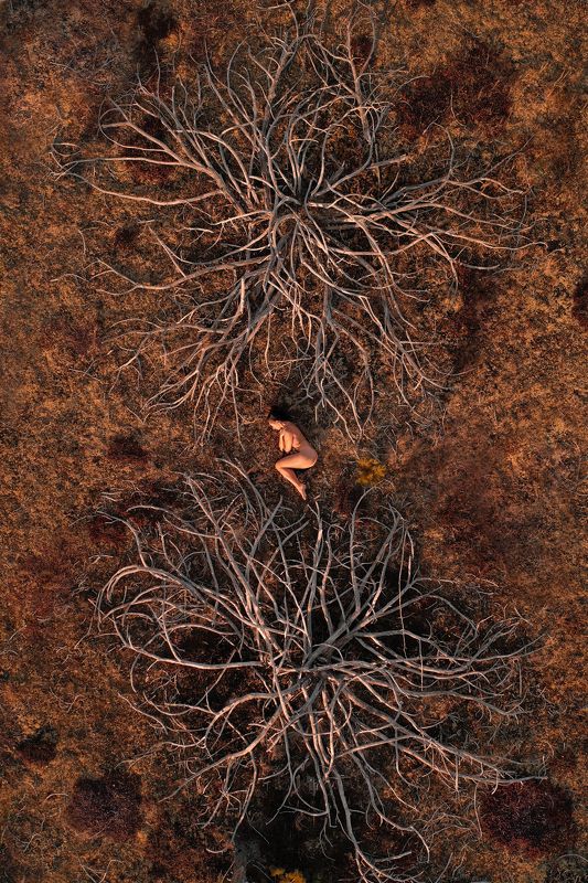 Природа Рождение  фото превью