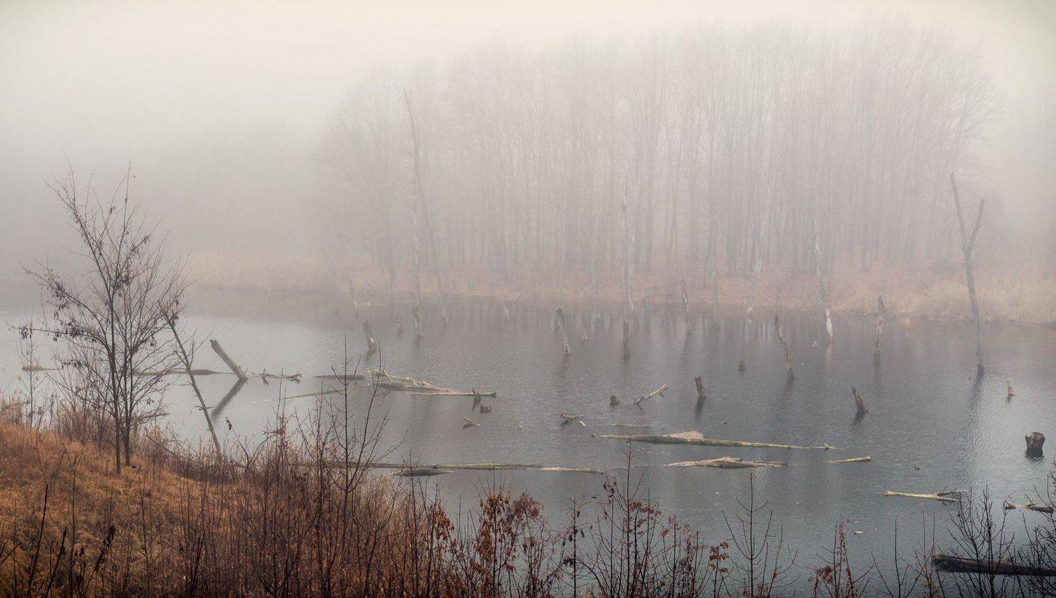, Игорь Мелекесцев