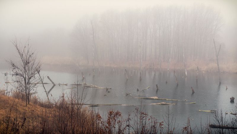 Утро в тумане фото превью