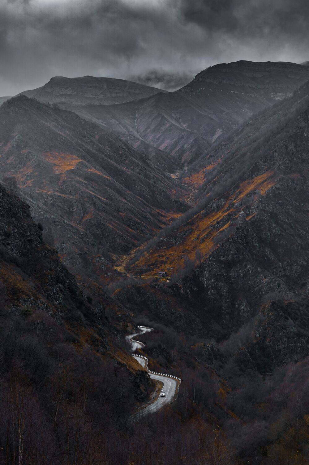 , Андрей Кривцов