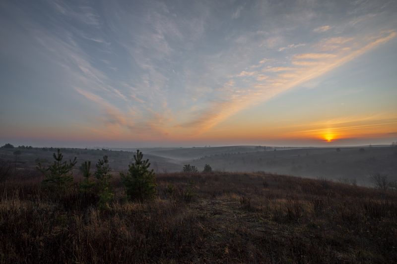 в ожидании  зимы... фото превью