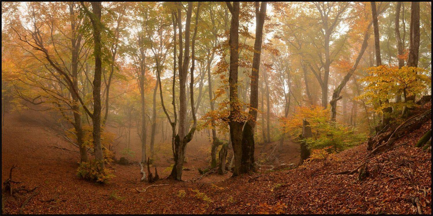 , Владимир Метцгер
