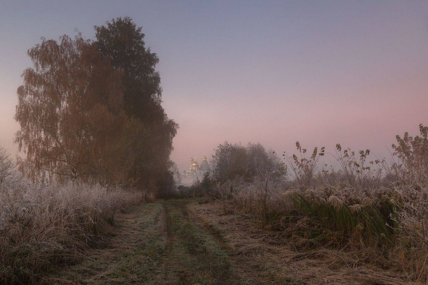 туман, храм, утро, подмосковье, истра, Александр Стрельчук