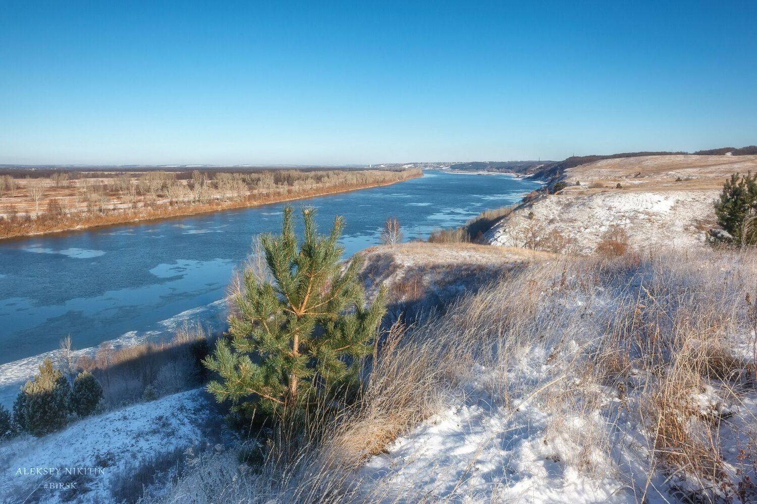 , Алексей Никитин