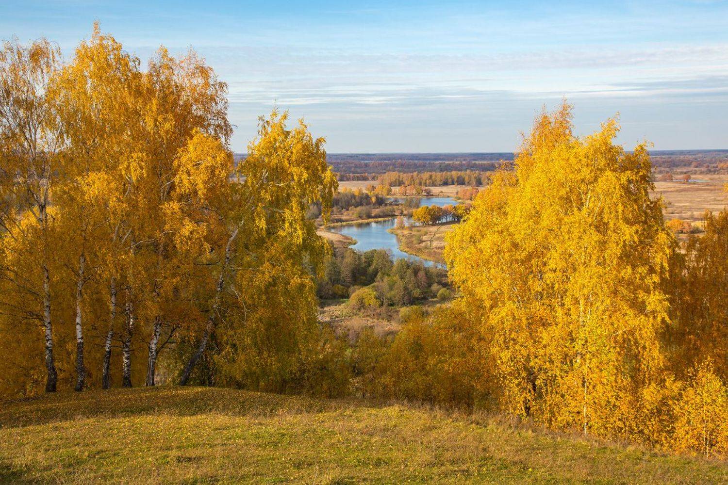 осень октябрь венец быковка текмаш, Дмитрий Алексеев