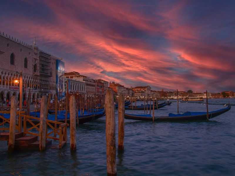 VMQ фото превью