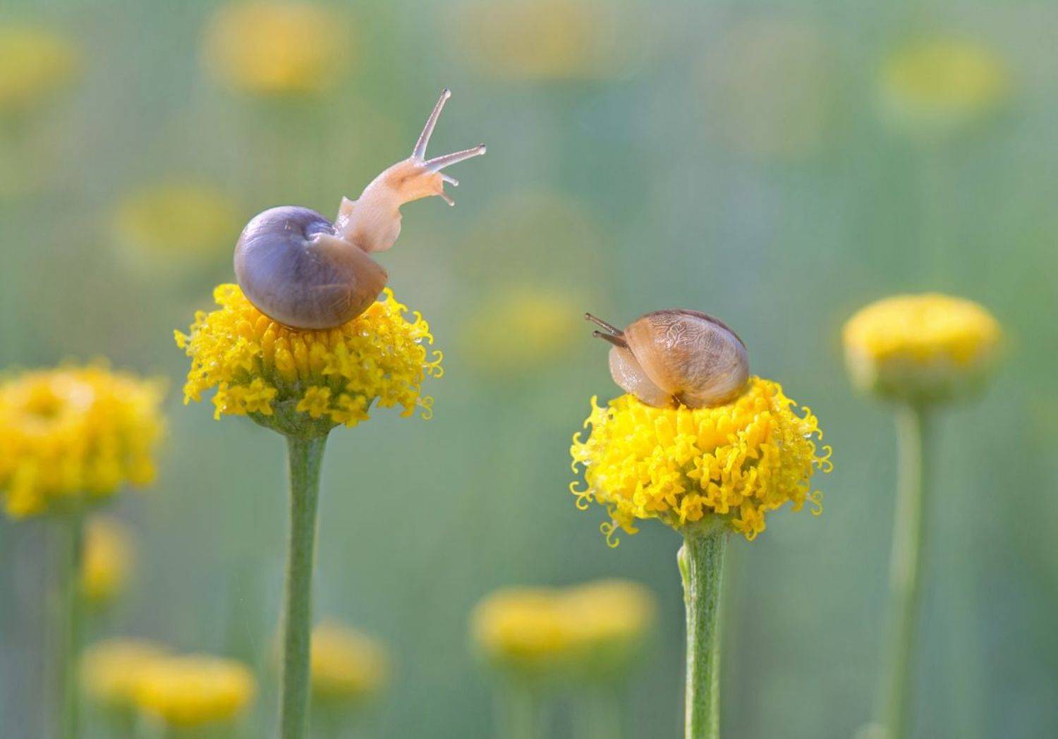 , Людмила Бекман