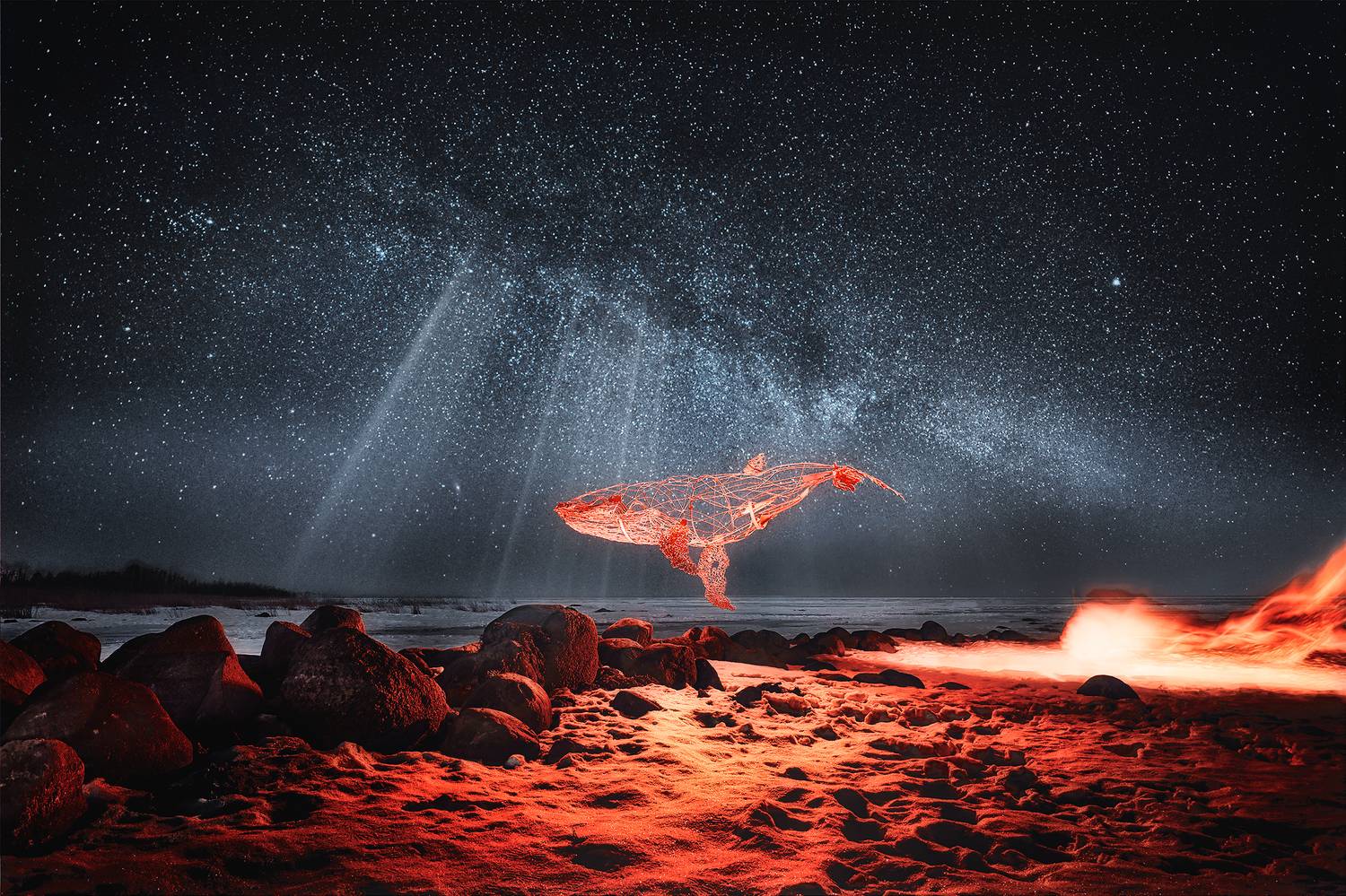 кит, пейзаж, фантазия, свет ночью, Максим