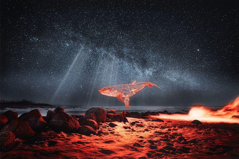 кит, пейзаж, фантазия, свет ночью Одинокий кит вселенной фото превью