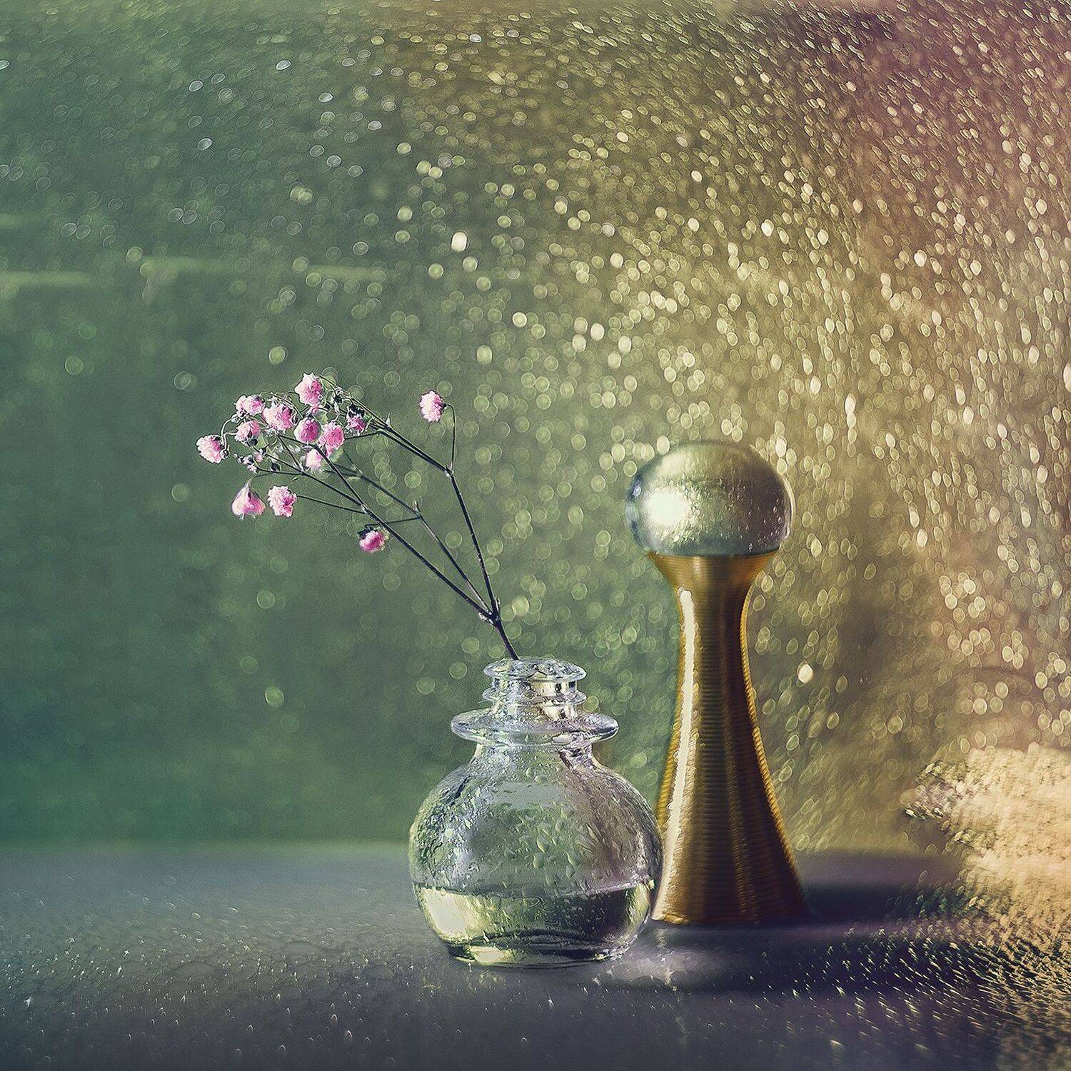 , MVO (Марк Орлов)