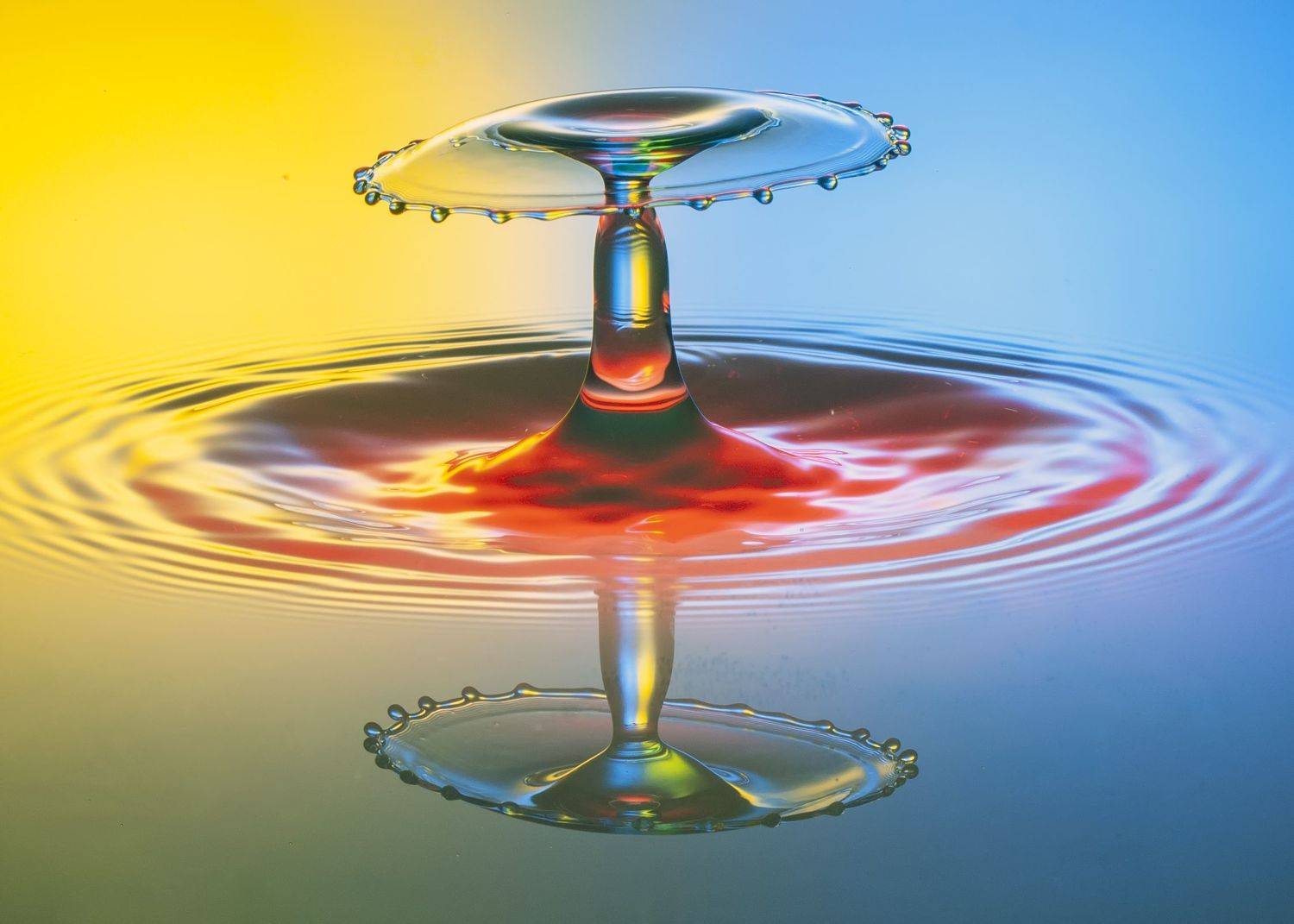 waterdrops,liquid,art,abstract,macro,photography,color,light, mustafa yagci