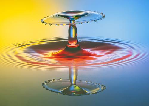 drops reflection