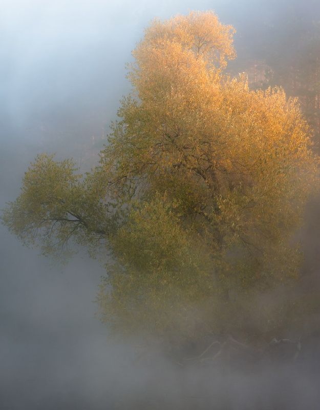 утро, осень, туман Утро осени фото превью