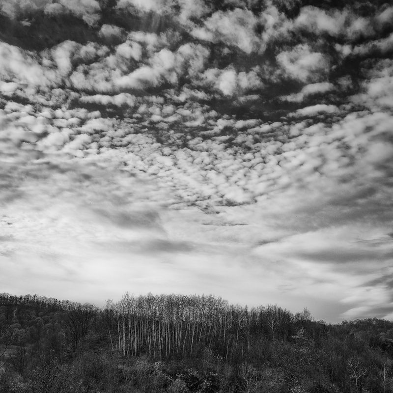 2021 фото превью