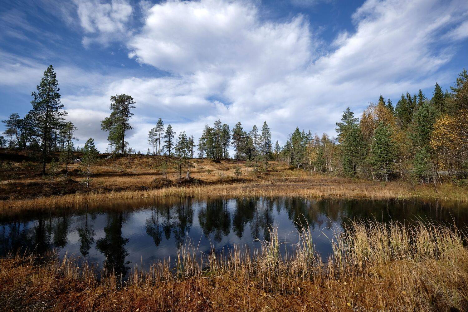 Landscapes, nature, Lake, forest, reflection, trees, water, Autumn, Fall, Norway, clouds, colors, , Svetlana Povarova Ree